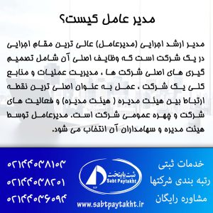 مدیر عامل کیست